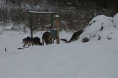 imgp1570_1